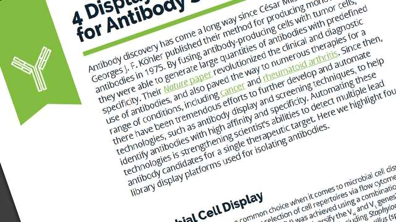 4 Antibody Display Platforms for Detecting Lead Antibody Candidates
