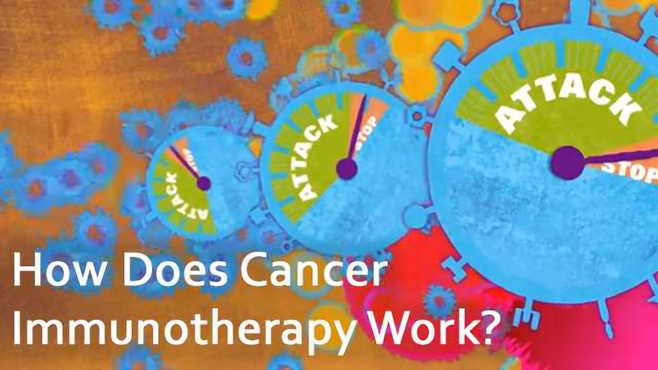 How Does Cancer Immunotherapy Work?