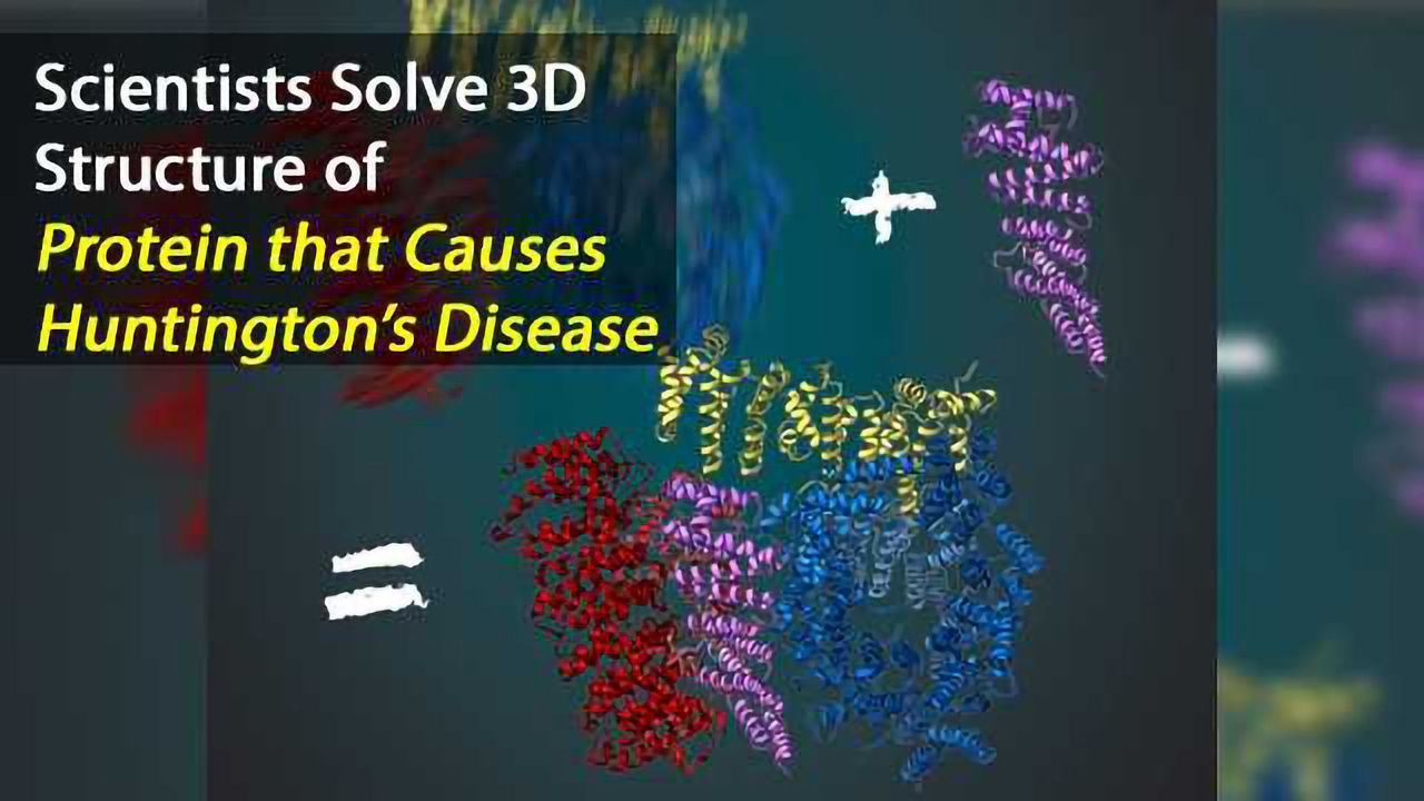 3-D Structure of Huntingtin Protein Solved with Cryo-EM