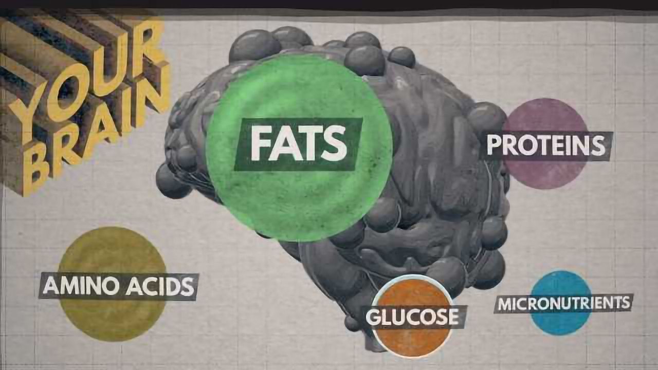 How the Food you Eat Affects Your Brain