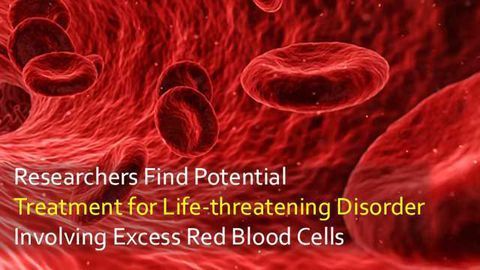 Potential Treatment for Disorders Involving Excess Red Blood Cells