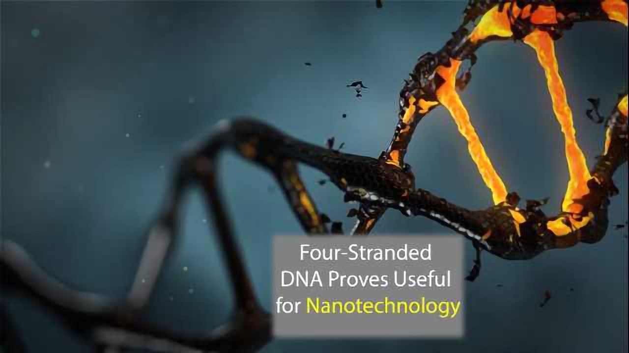 Four-Stranded DNA Proves Able Current Conductor