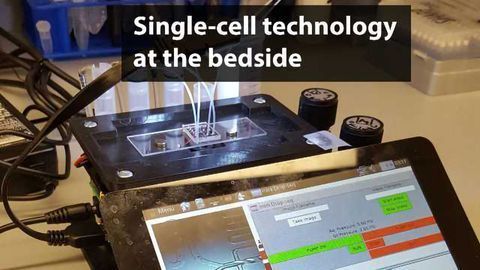 New Device Enables Low-Cost Single-Cell Analysis