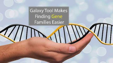 Family Gathering: Galaxy Program Makes Grouping Genes Easier