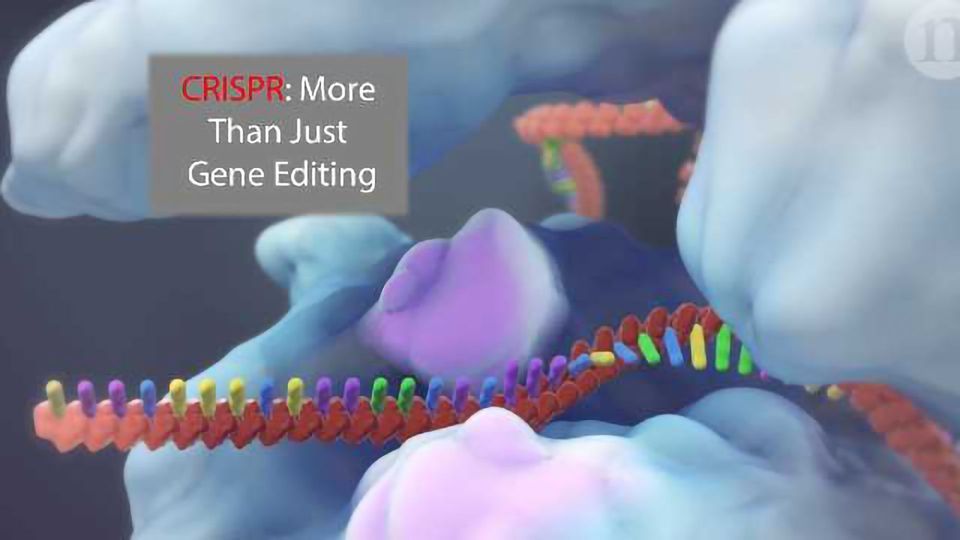 CRISPR: Gene Editing and Beyond content piece image