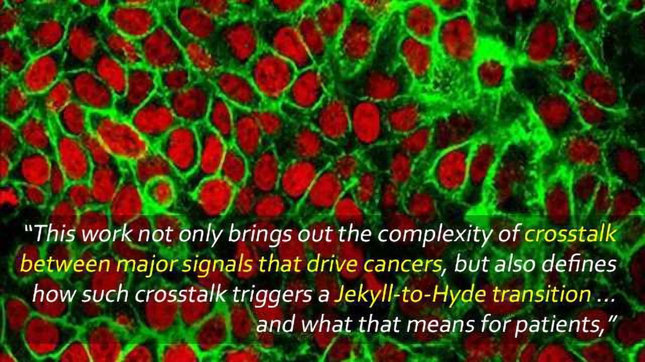 Jekyll and Hyde: Tumor Suppressor and Driver of Malignancy and Metastasis