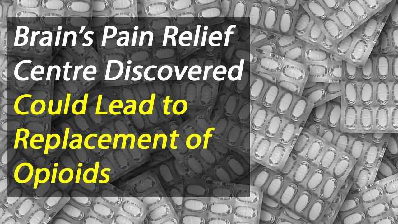 The Brain's Endogenous Pain Relief Centre Has Been Found, Could Improve Painkiller Development