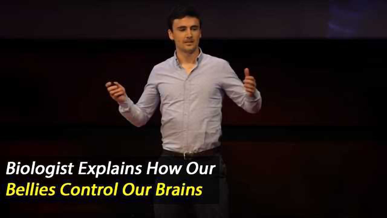 Your Belly Controls Your Brain