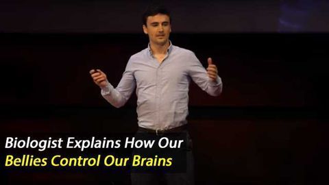 Your Belly Controls Your Brain