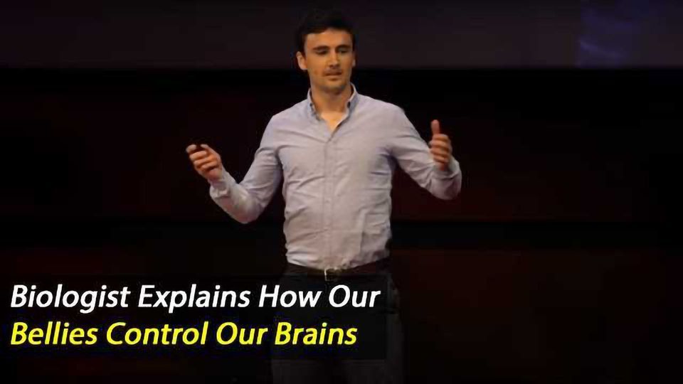 Your Belly Controls Your Brain content piece image