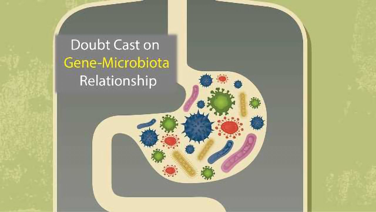 Study Casts Doubt on Gut Microbiota's Genetic Influence