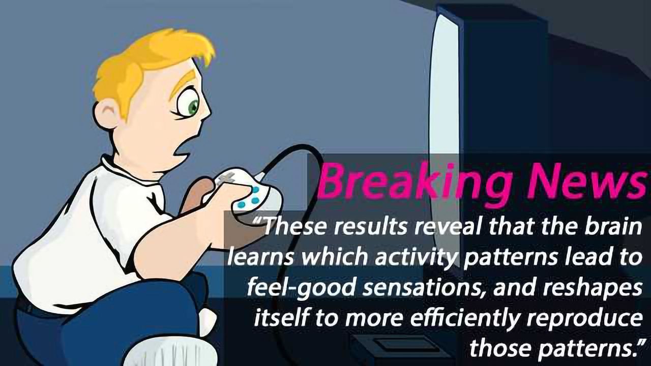 Evidence for a Neural Law of Effect: How the brain pursues pleasure