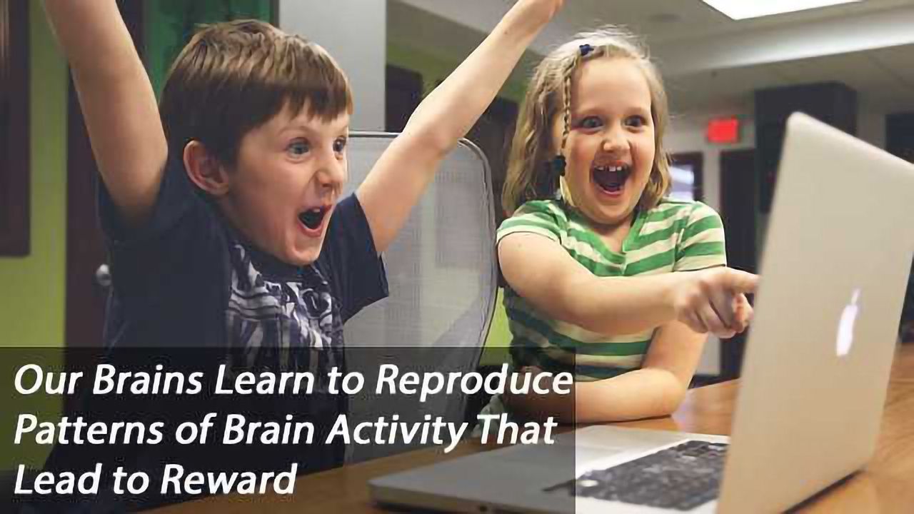 In Pursuit of Pleasure, Brain Learns to Hit the Repeat Button