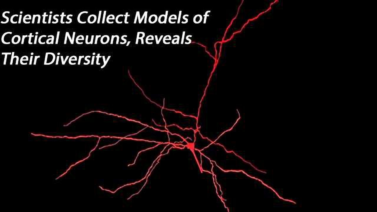 Improving Theoretical Neuroscience: Diversity of cortical neurons captured in comprehensive computer models