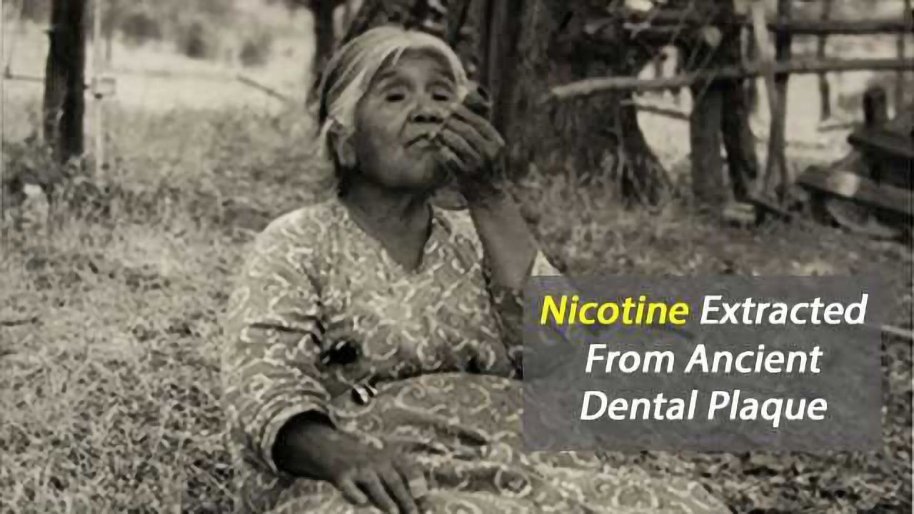 Nicotine Extracted From Ancient Dental Plaque