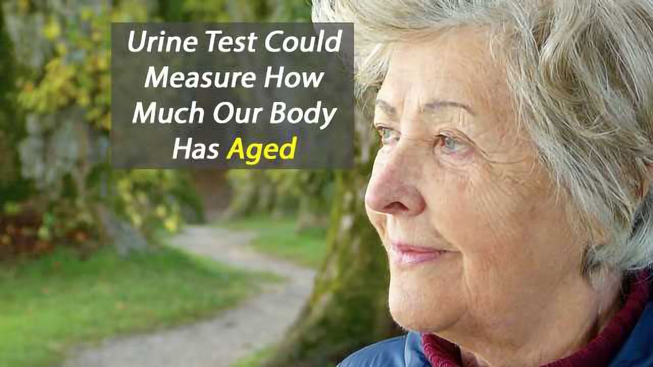Urine Test Could Define Your Biological Rather than Chronological Age