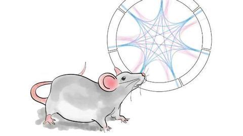 Networks of Brain Activity Predict Vulnerability to Depression