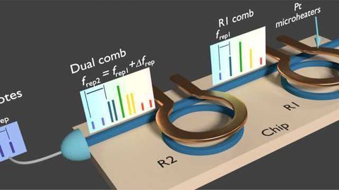 Dual Frequency Comb Generated on a Single Chip Using a Single Laser