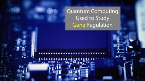 The Power of Quantum Computing Harnessed for Gene Study