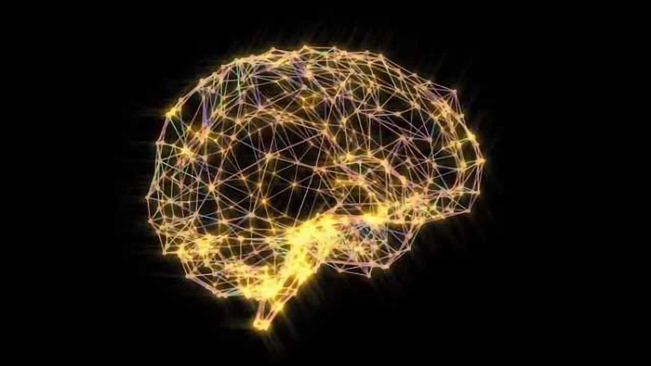 Researchers Find Algorithm for Large-Scale Brain Simulations
