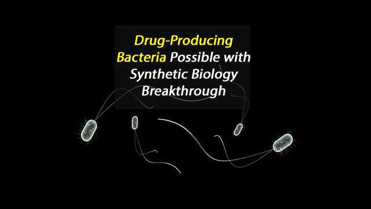 Synthetic Biology Breakthrough Means Bacteria Could Produce Our Essential Drugs