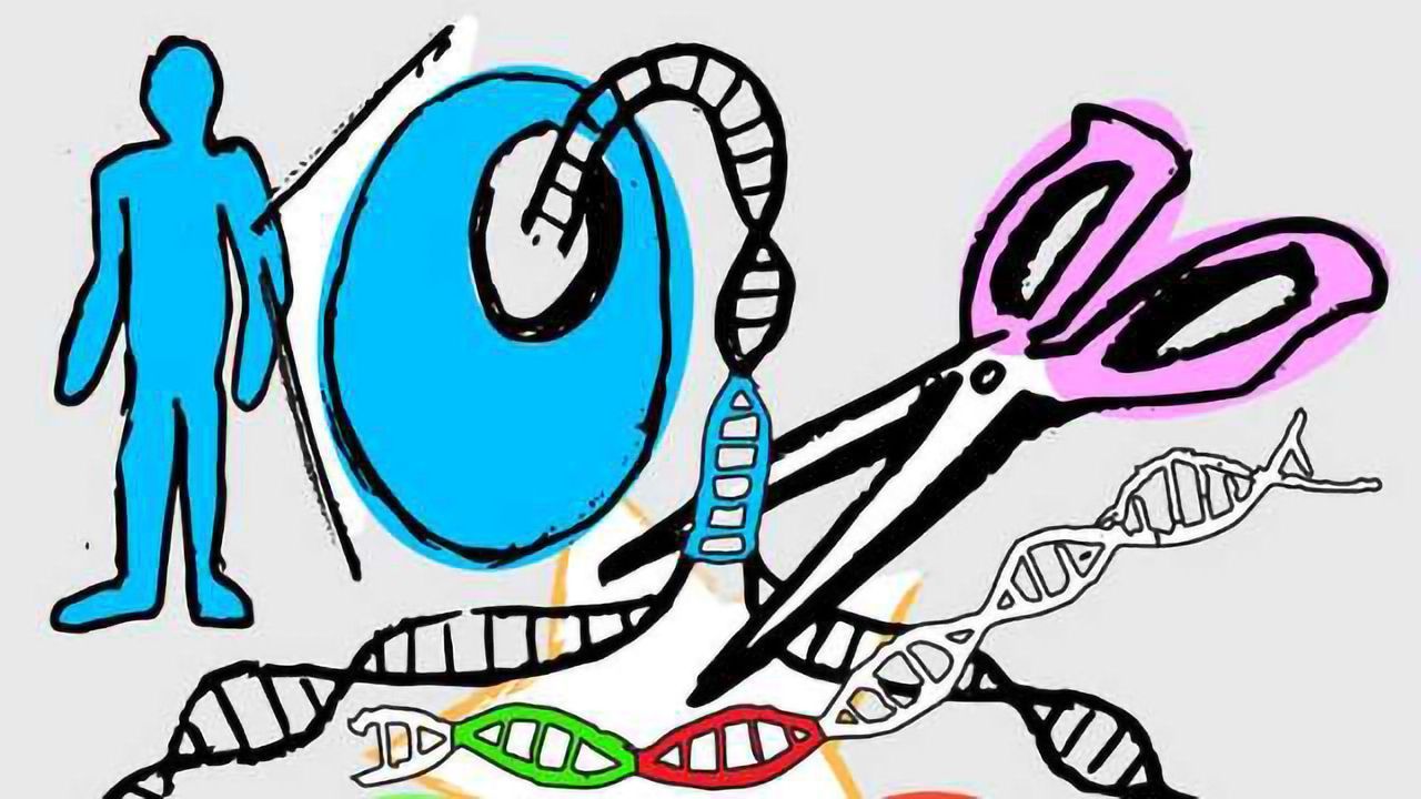 Stem Cell ‘Twins’ to Study Disease