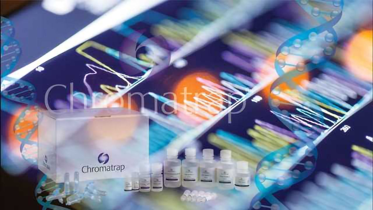 Streamlining ChIP-Seq Library Preparation