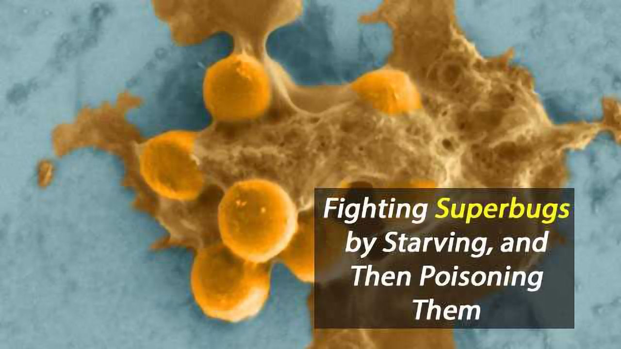 Combating Superbugs by Starving Them, Then Poisoning Them