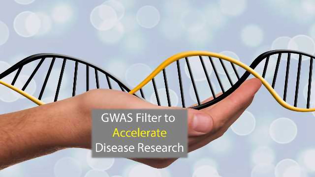 GWAS 'Filter' to Accelerate Disease Research