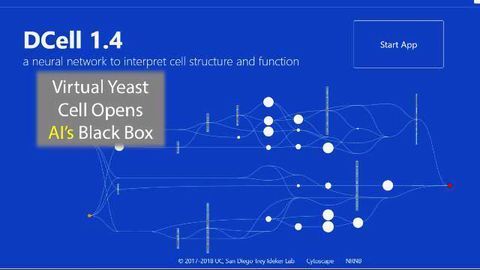 This Virtual Yeast Cell Could Open Up The Black Box Of Artificial Intelligence