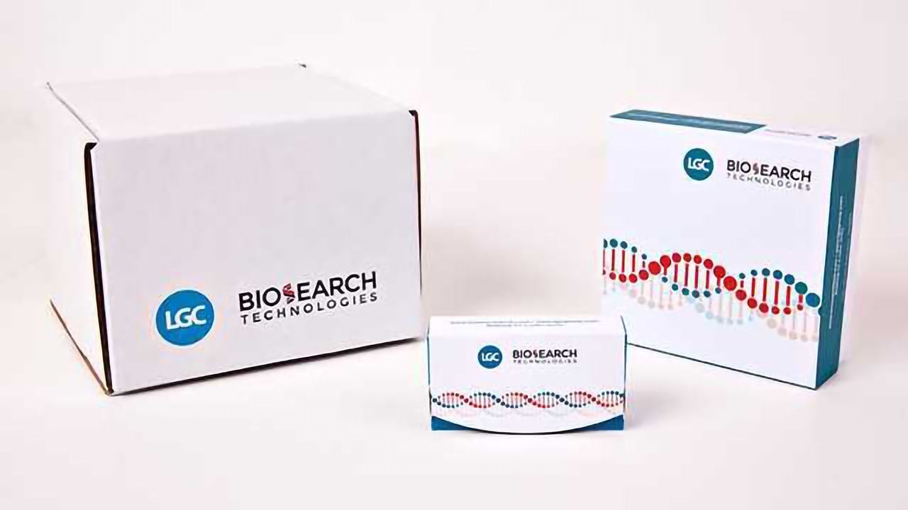 BHQ® Probe Master Mix – SNP genotyping your way