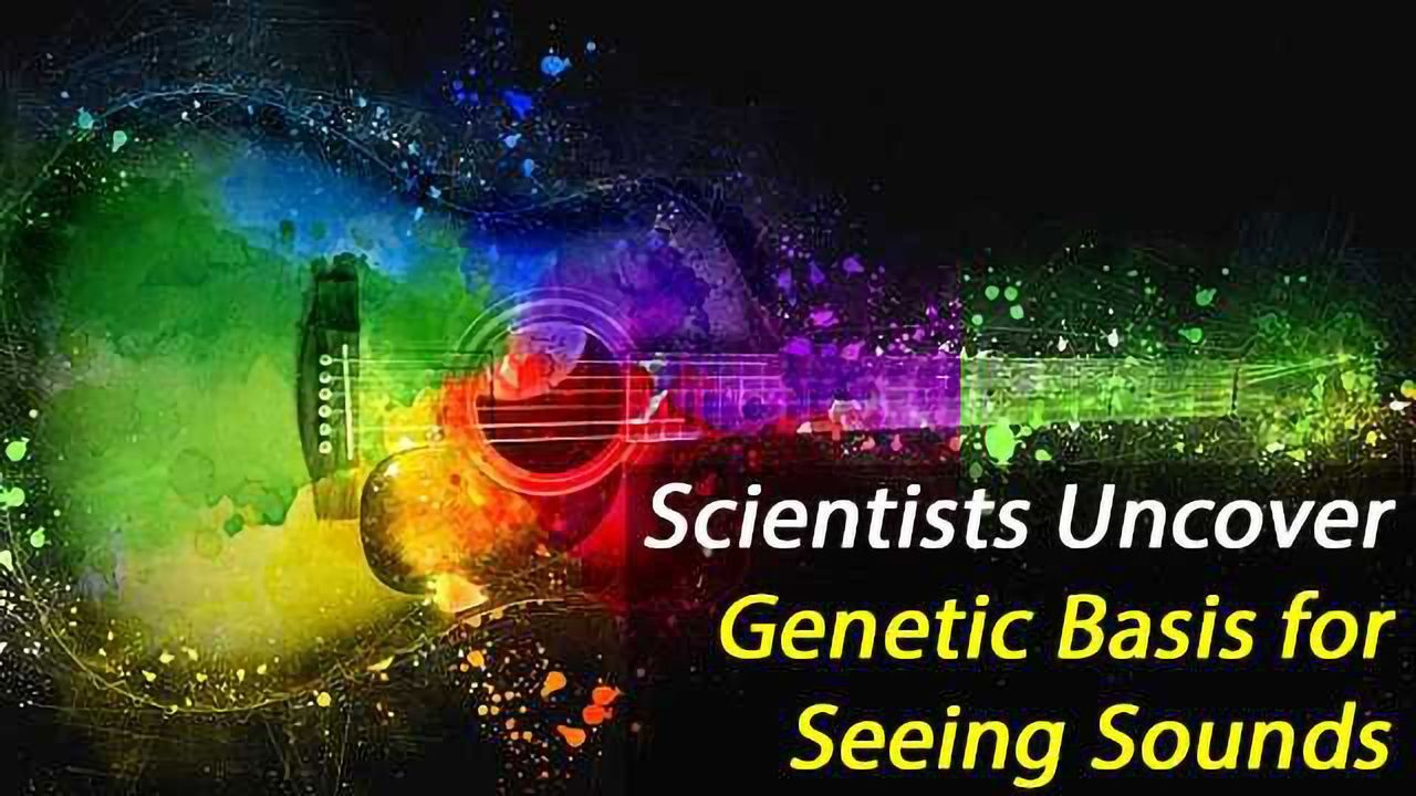 Genes Underlying Axonogenesis Implicated in Synaesthesia
