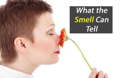 What the Smell Can Tell