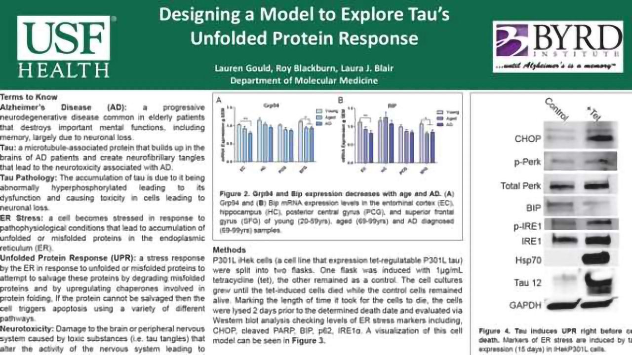 Designing a Model to Explore Tau's Unfolded Protein Response