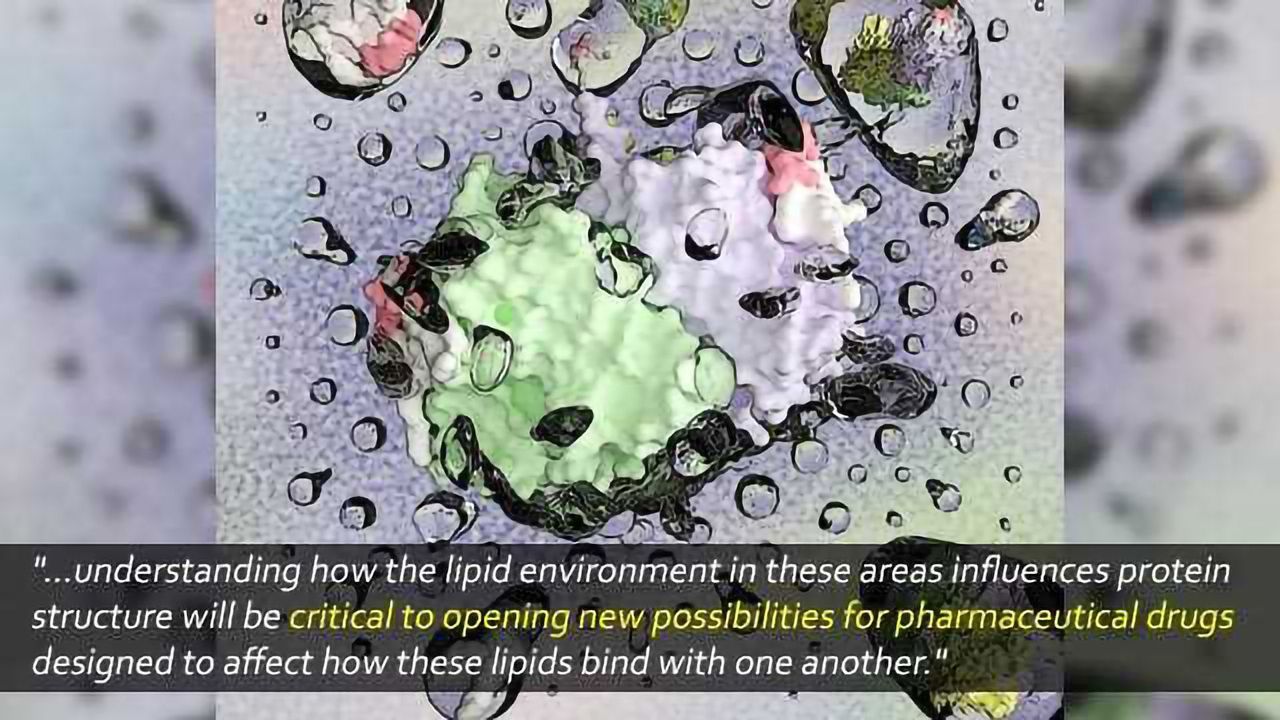 Uncovering Drug Targets: Decoding Lipid-Protein Interactions