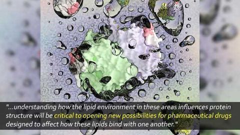 Uncovering Drug Targets: Decoding Lipid-Protein Interactions