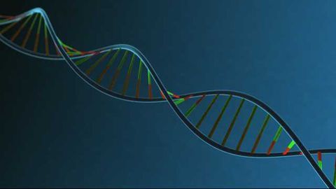 Shivom Partnership With Genetic Technologies Will Enable Better Cancer Prediction and Prevention