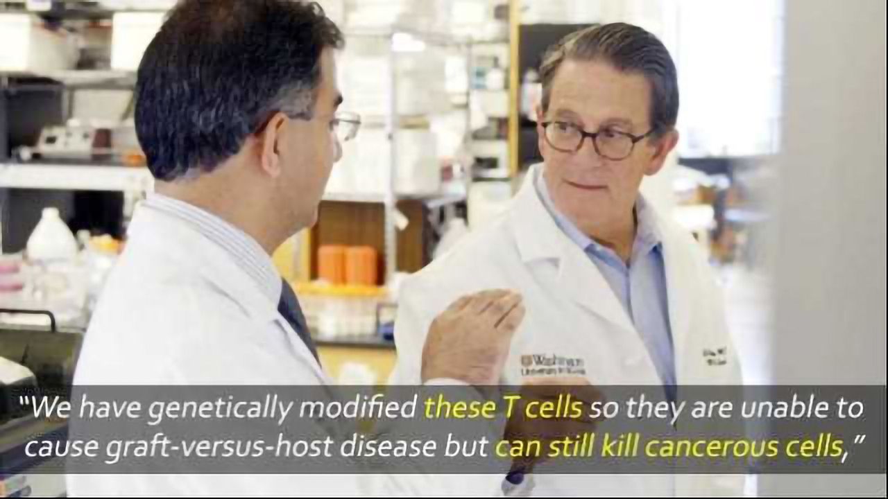 CRISPR Enhances Cancer Immunotherapy Helping Protect T-Cells Against Friendly Fire
