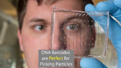 DNA Barcodes Help Pick the Best Nanoparticles for Gene Therapy