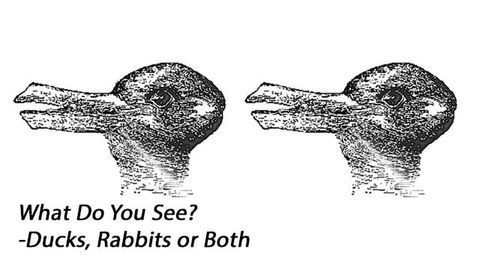 Decoding Ambiguity: Context is crucial
