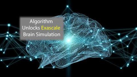 Algorithm Unlocks Exascale Brain Simulation