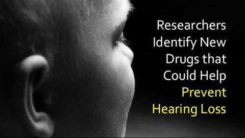 New Drug Compounds Help Prevent Hearing Loss