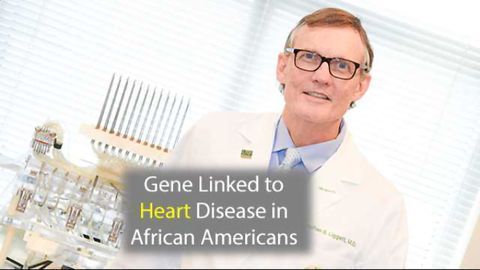 Gene Linked to Heart Failure in African Americans