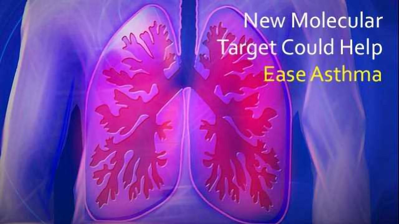 Ease the Wheeze: New Therapeutic Target for Asthma