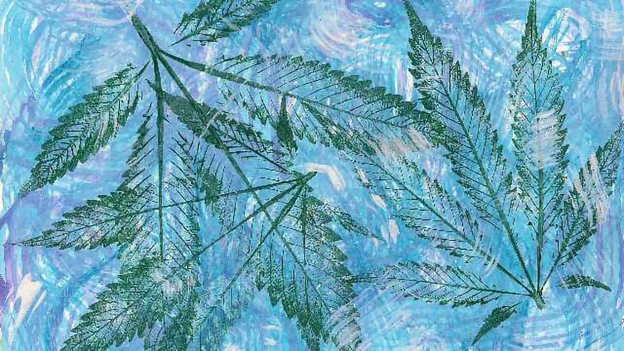 Chemotyping: Classifying cannabis strains by chemical composition