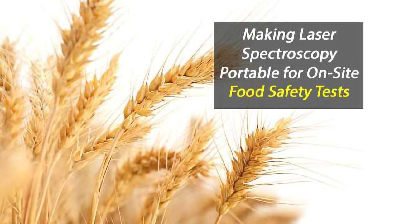 Making Laser Spectroscopy Portable for On-Site Food Safety Tests
