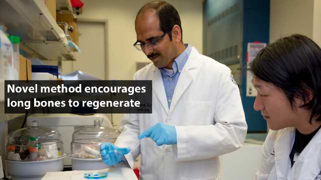 Engineered Cartilage Template to Heal Broken Bones