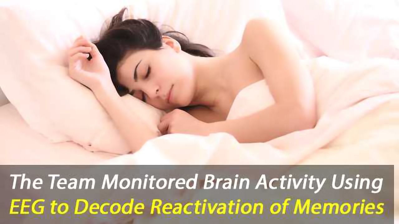 Scientists Decode Memories From Sleep Brain Waves