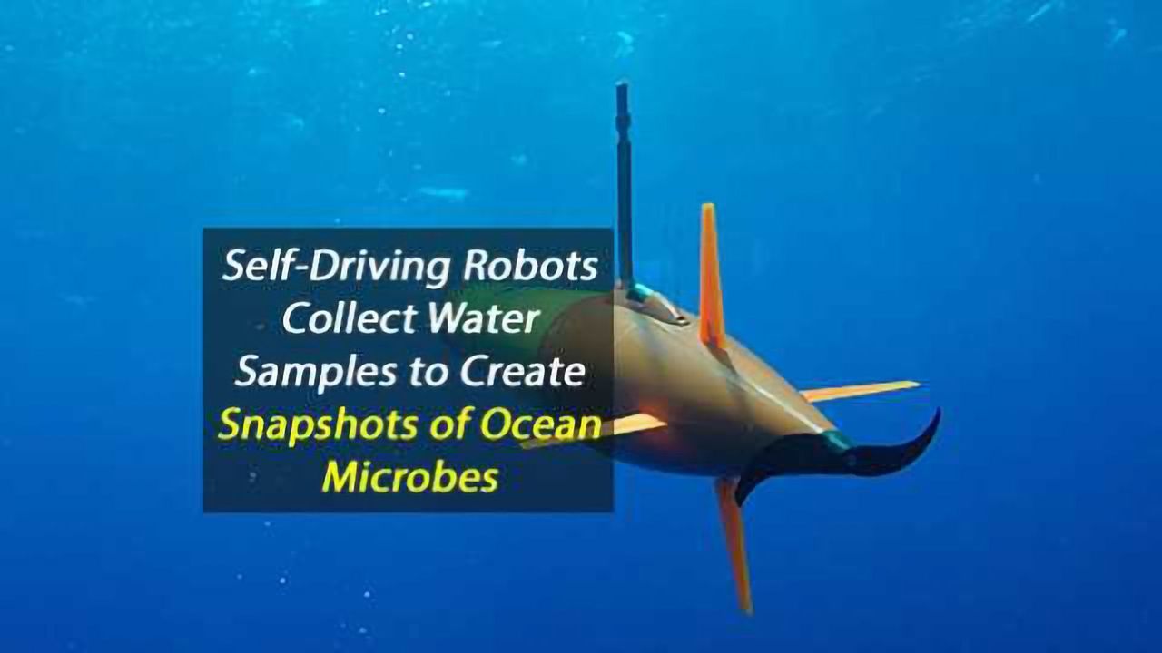 Self-Driving Robots Collect Water Samples to Create Snapshots of Ocean Microbes