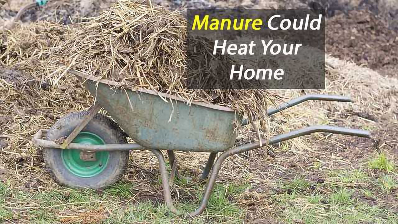 Manure Could Heat Your Home